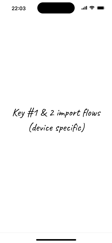 Placeholder screen for the key import flow.